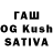 Amphetamine Premium Hugo Tarnat