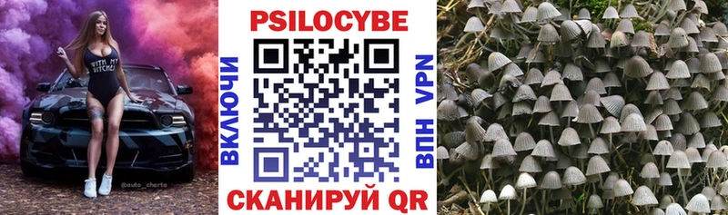 Псилоцибиновые грибы Psilocybe  купить закладку  Котово 